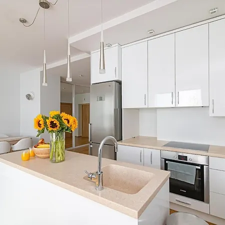 Bright 1 Bdr In Vivid Paupys By Urban Rent * Wilna